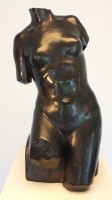 TORSO