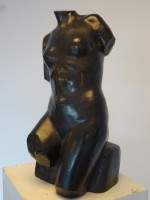 TORSO