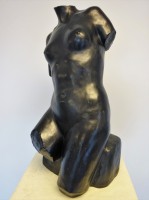TORSO
