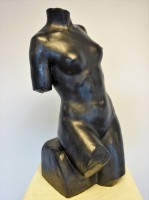 TORSO
