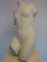 TORSO